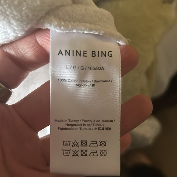 While and green Anine Bing Hoodie - Picture 4 of 5